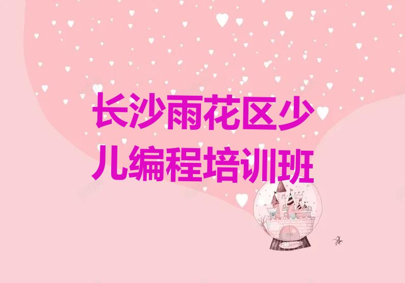 长沙雨花区少儿编程培训班