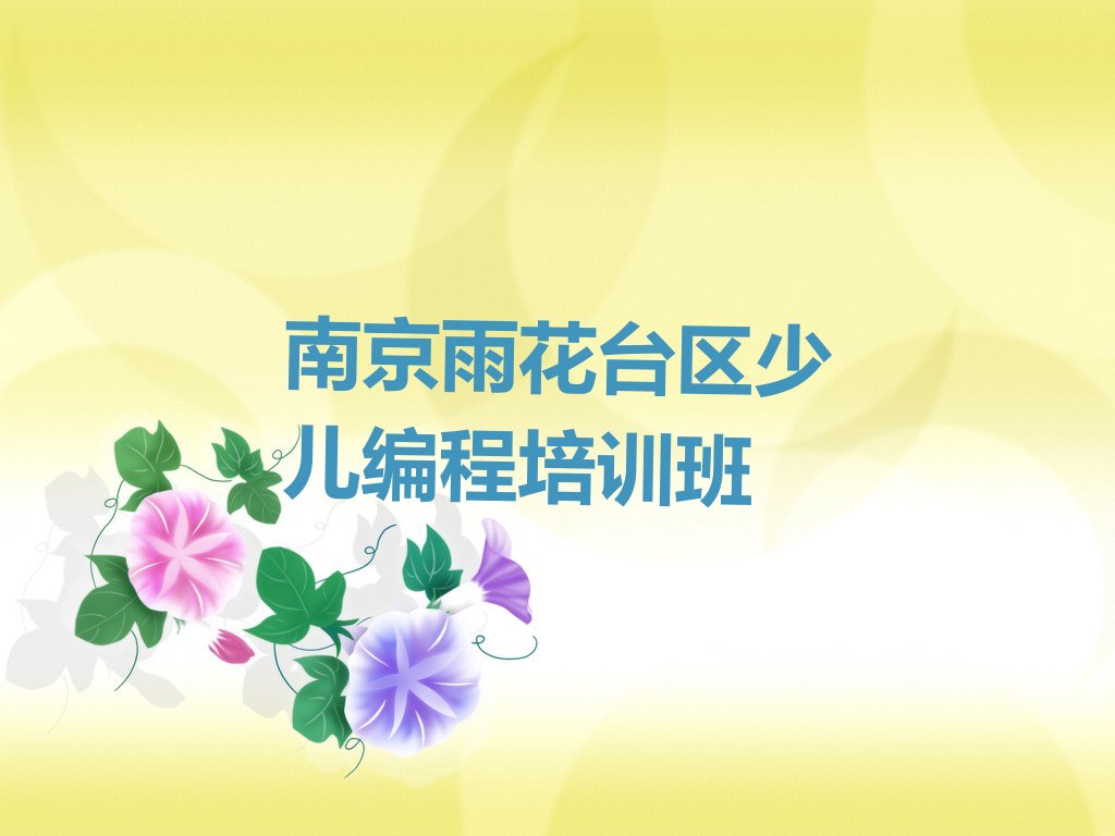 南京雨花台区少儿编程培训班