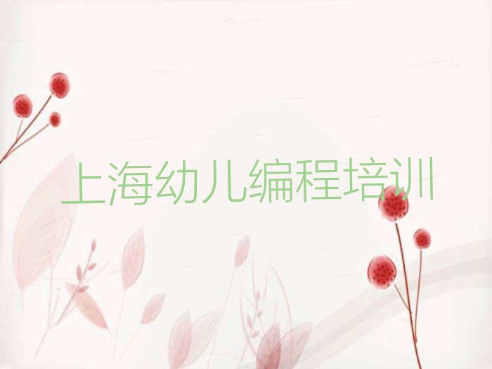 上海松江区幼儿编程培训学校