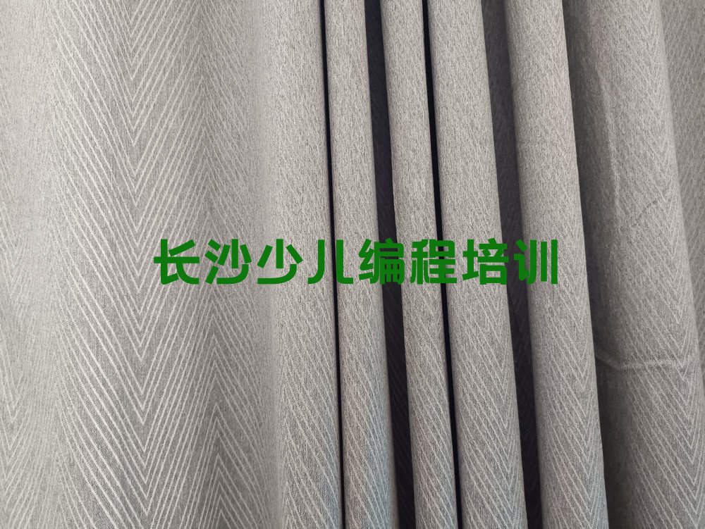 长沙岳麓区少儿编程培训