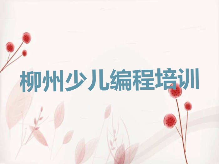 柳州城中区乐高机器人编程培训学校