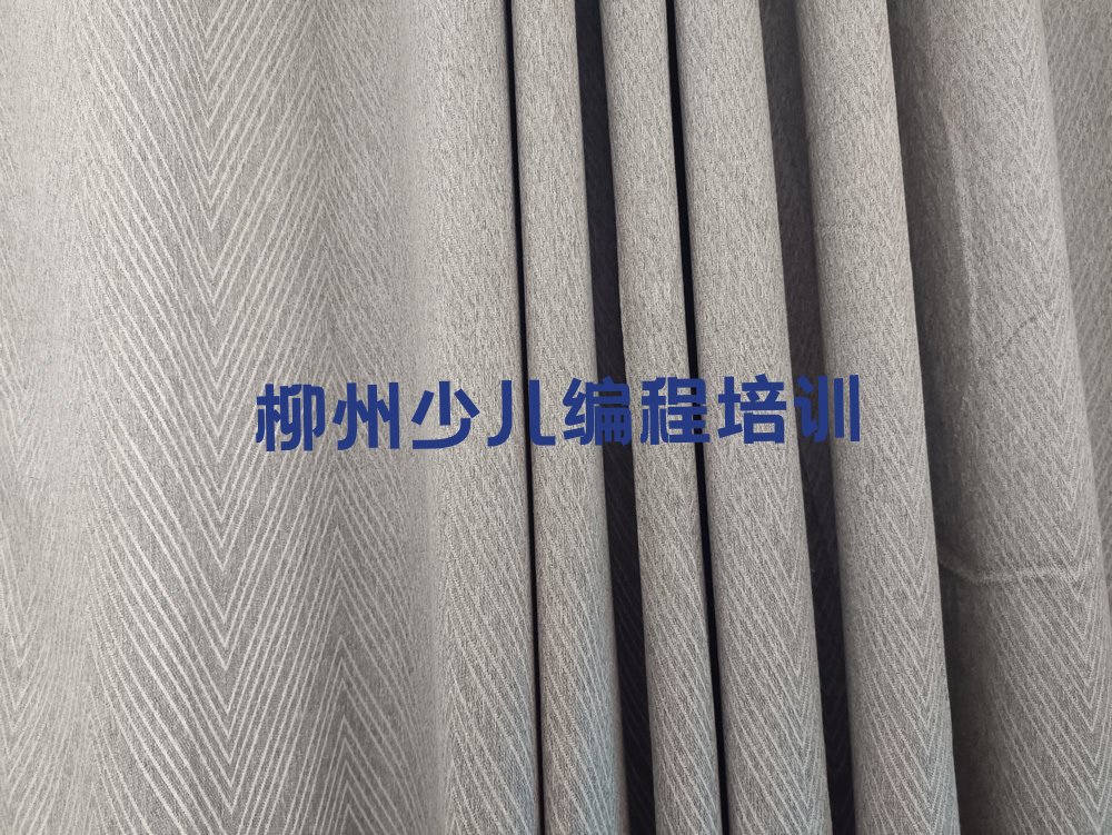 柳州城中区乐高机器人编程培训学校