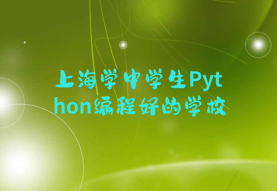 十大上海学中学生Python编程好的学校排行榜