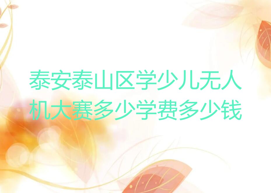泰安泰山区泰前街道少儿无人机大赛培训学校