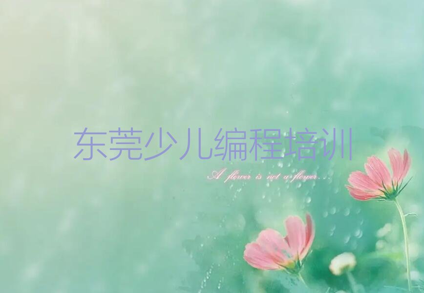 东莞少儿编程培训学校