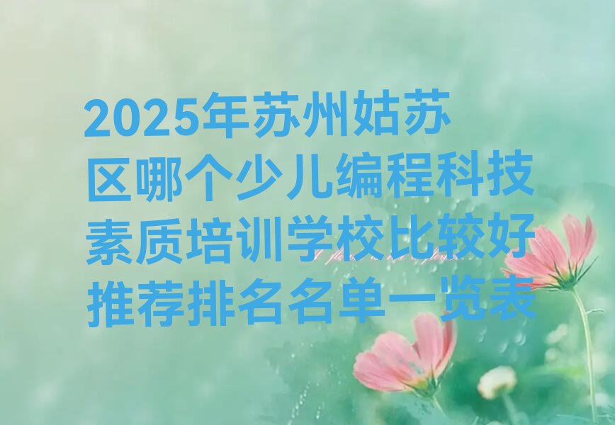 少儿编程科技素质