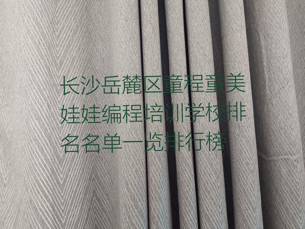 长沙岳麓区少儿编程培训班