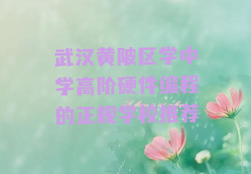 十大武汉黄陂区学中学高阶硬件编程的正规学校推荐排行榜