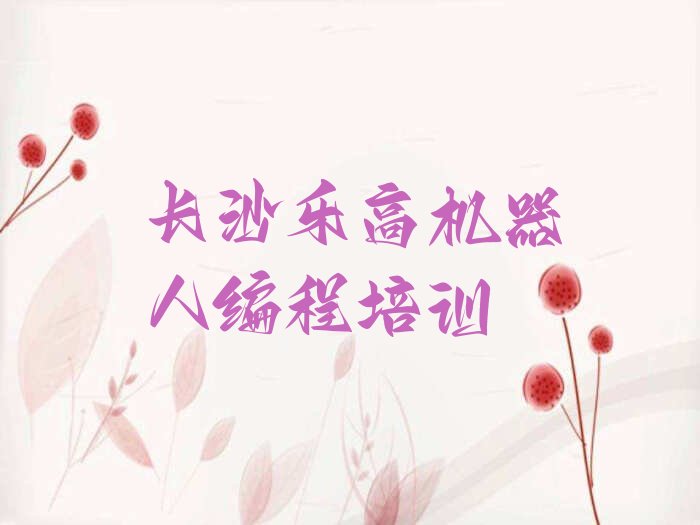 长沙少儿编程培训中心