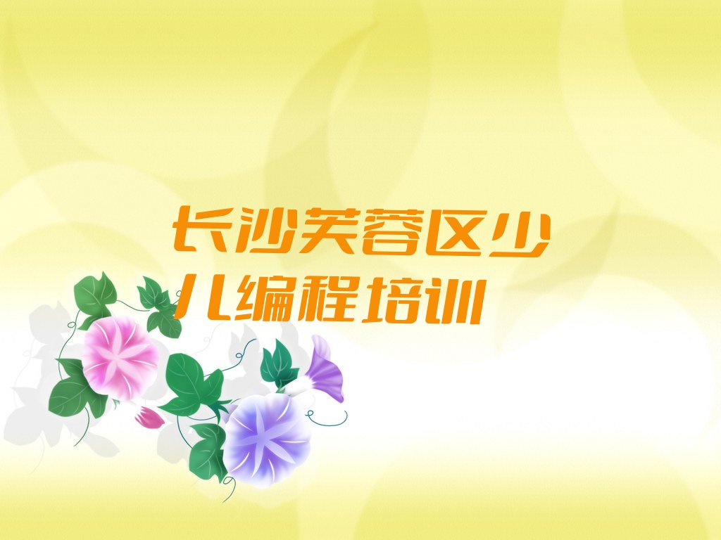 长沙芙蓉区少儿编程培训