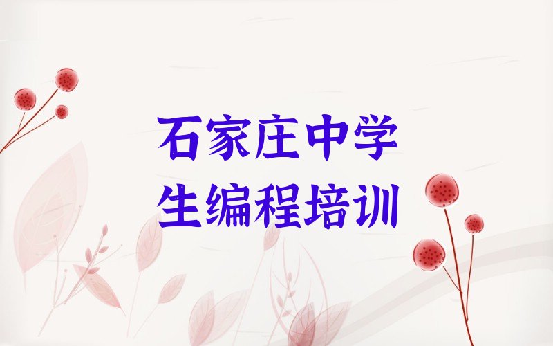 石家庄栾城区楼底镇中学生编程培训学校