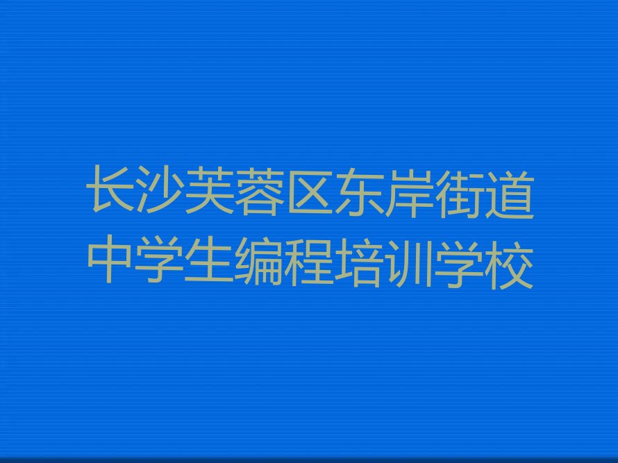中学生编程