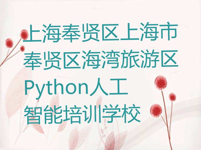上海奉贤区上海市奉贤区海湾旅游区Python人工智能培训学校