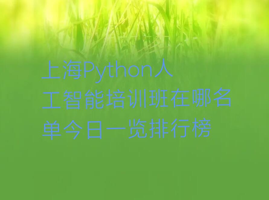 上海奉贤区上海市奉贤区海湾旅游区Python人工智能培训学校