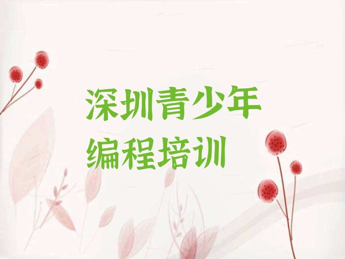 深圳少儿编程培训