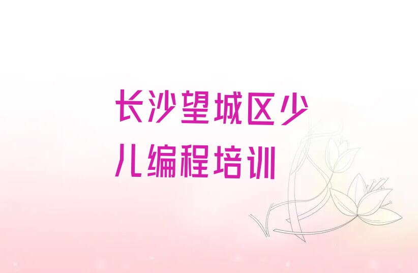 十大长沙望城区小孩编程哪里小孩编程培训班实惠排行榜