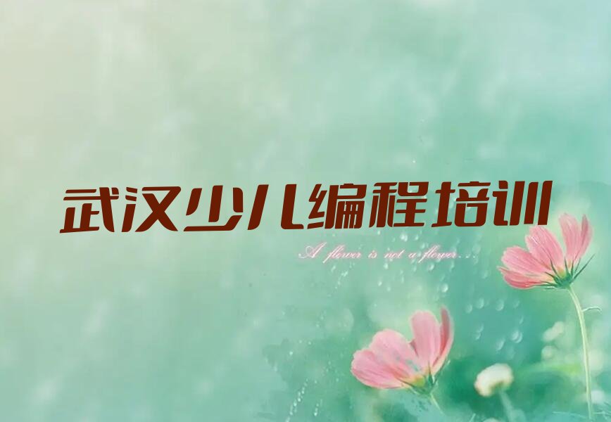 武汉洪山区智能机器人编程培训学校