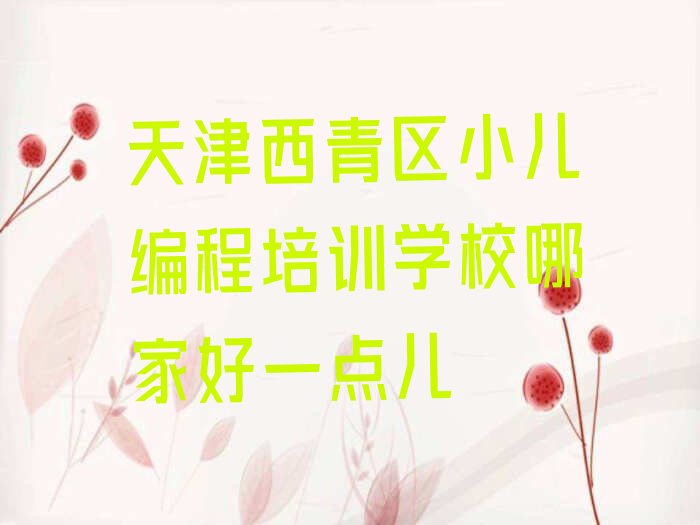 天津西青区小儿编程培训学校