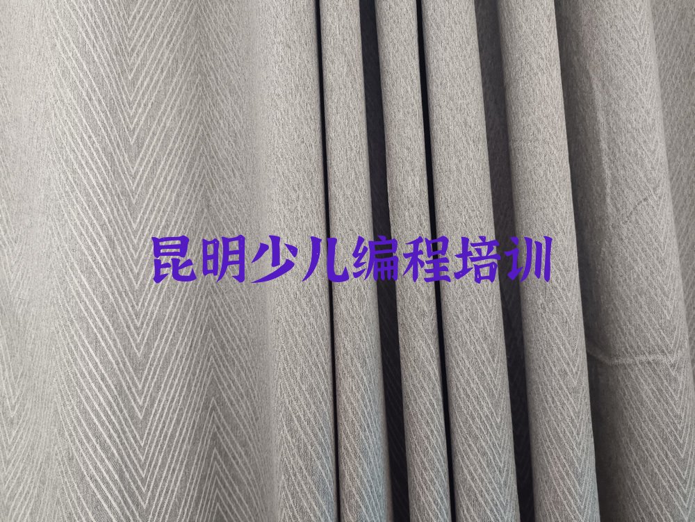 昆明官渡区少儿编程培训班