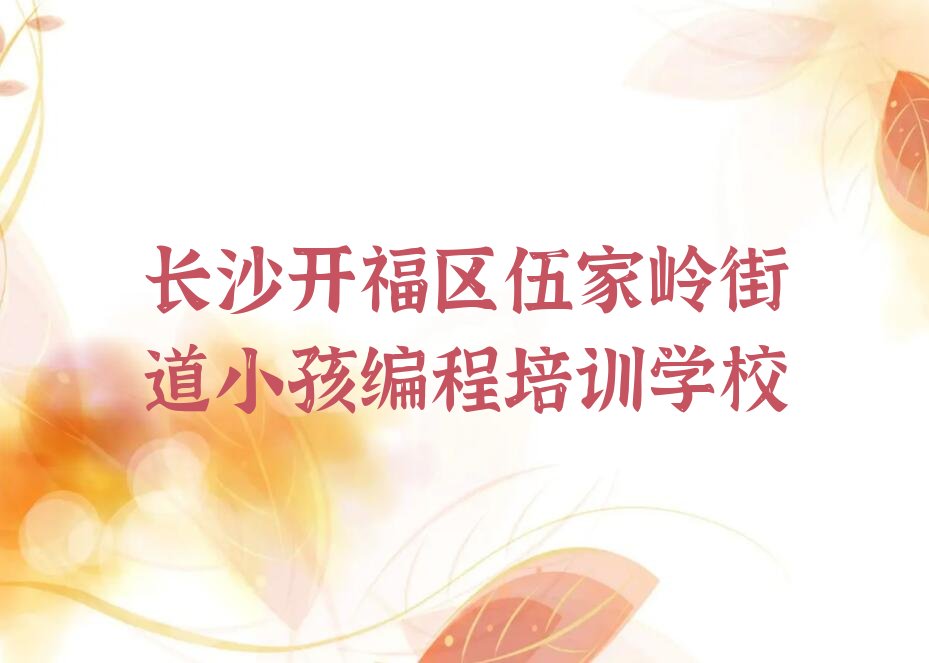 小孩编程