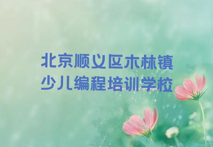 北京顺义区木林镇少儿编程培训学校