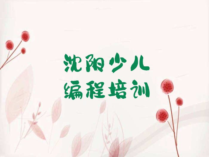 沈阳幼儿编程培训学校