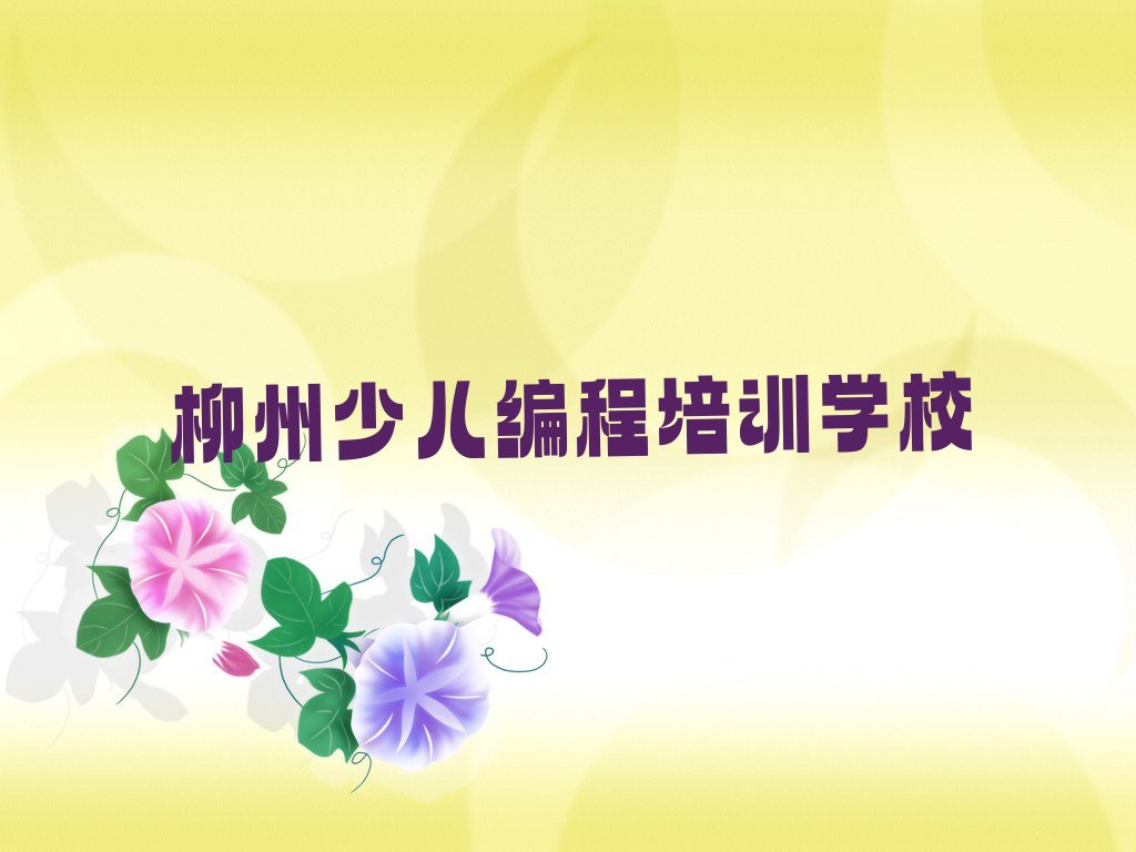 柳州少儿编程培训学校