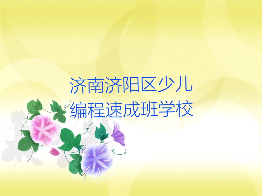 济南济阳区仁风镇少儿编程培训学校