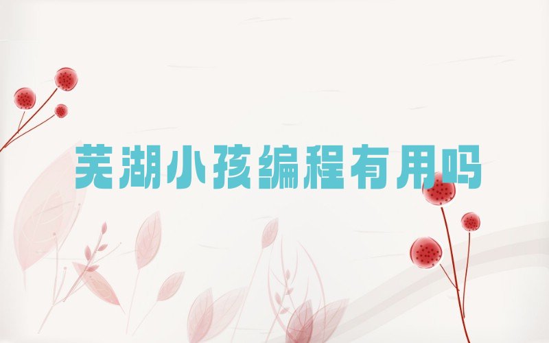 芜湖三山区少儿编程培训中心