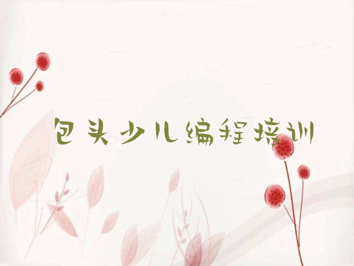 十大包头青山区NOIP信息学奥赛排名靠前的培训机构名单排行榜盘点一览排行榜