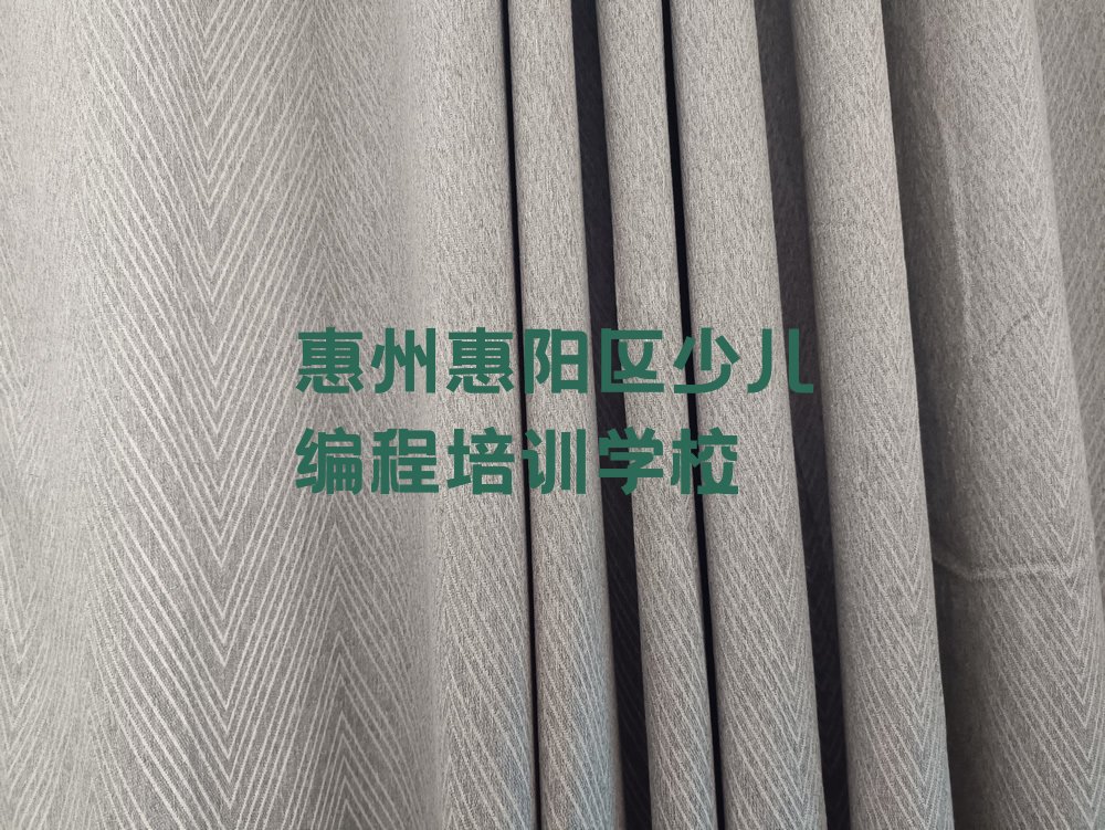 惠州惠阳区少儿编程培训学校