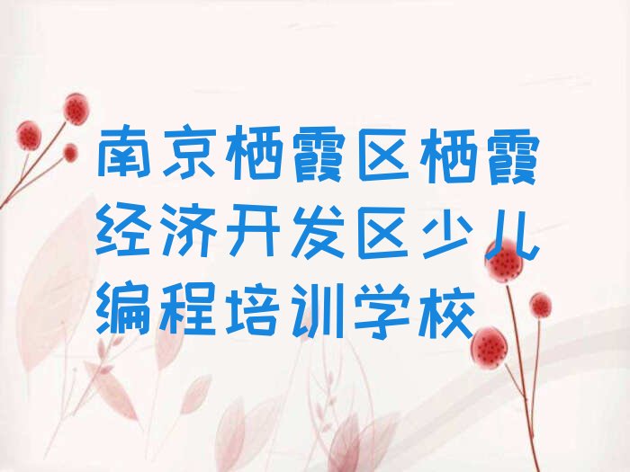 南京栖霞区栖霞经济开发区少儿编程培训学校