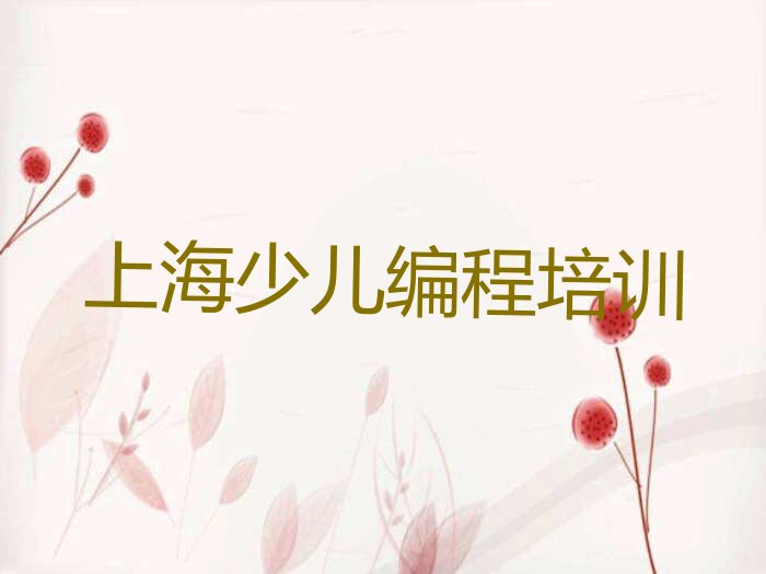 十大上海松江区少儿编程科技素质培训学费一般多少排行榜