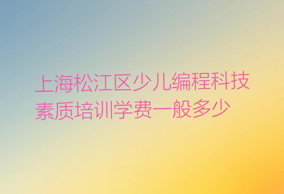 上海松江区佘山度假区少儿编程科技素质培训学校