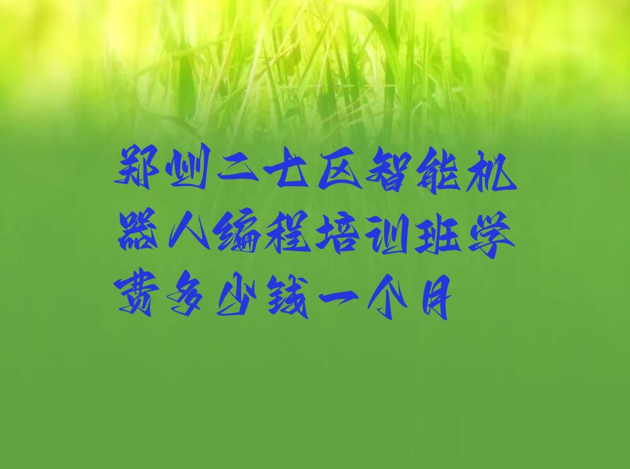 郑州二七区淮河路智能机器人编程培训学校