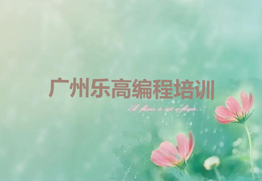 广州乐高编程培训学校