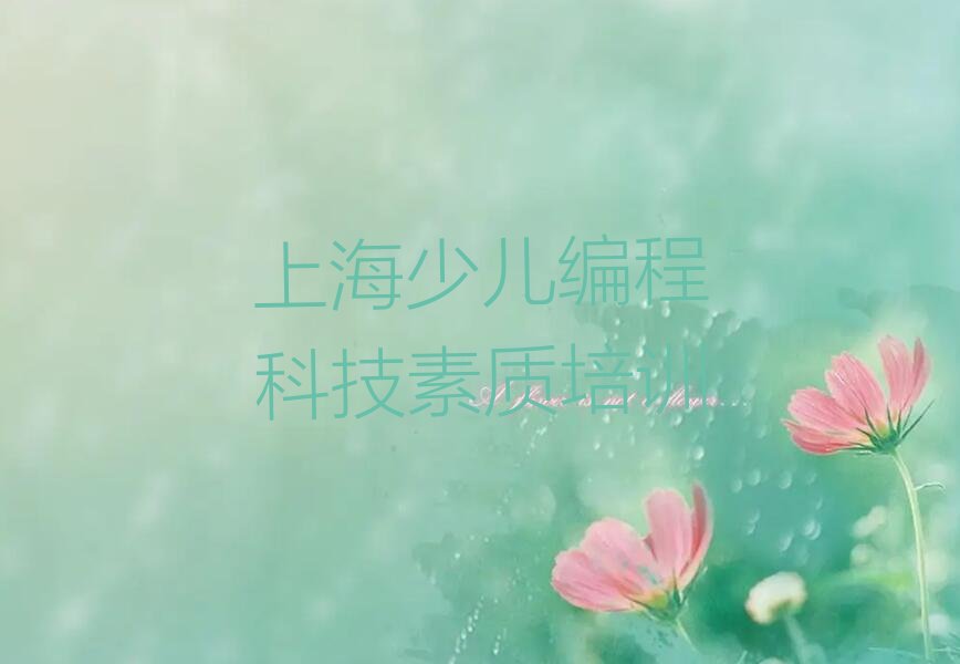 少儿编程科技素质