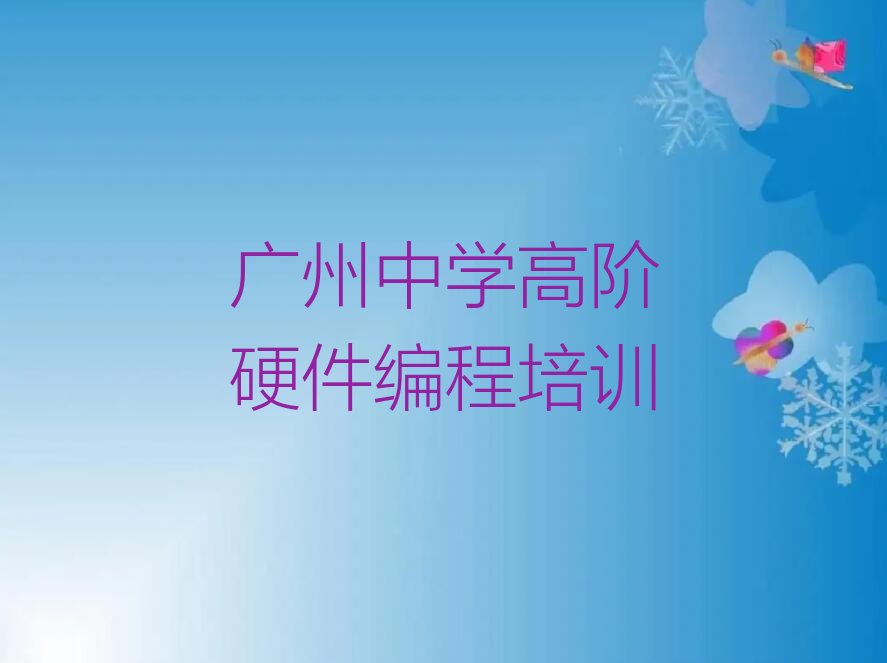 中学高阶硬件编程