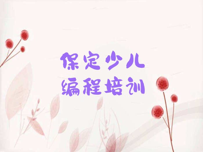 保定莲池区少儿编程培训中心