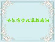 哈尔滨noip培训学校十大排名一览排行榜