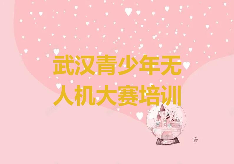 武汉新洲区青少年无人机大赛培训学校