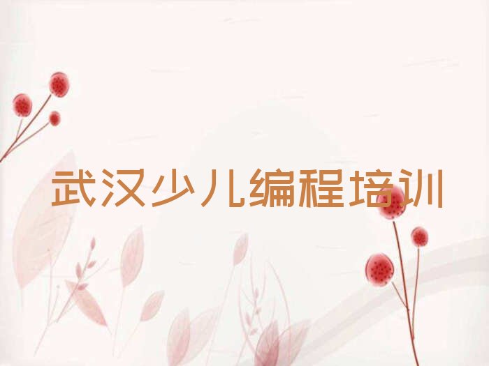 武汉新洲区青少年无人机大赛培训学校