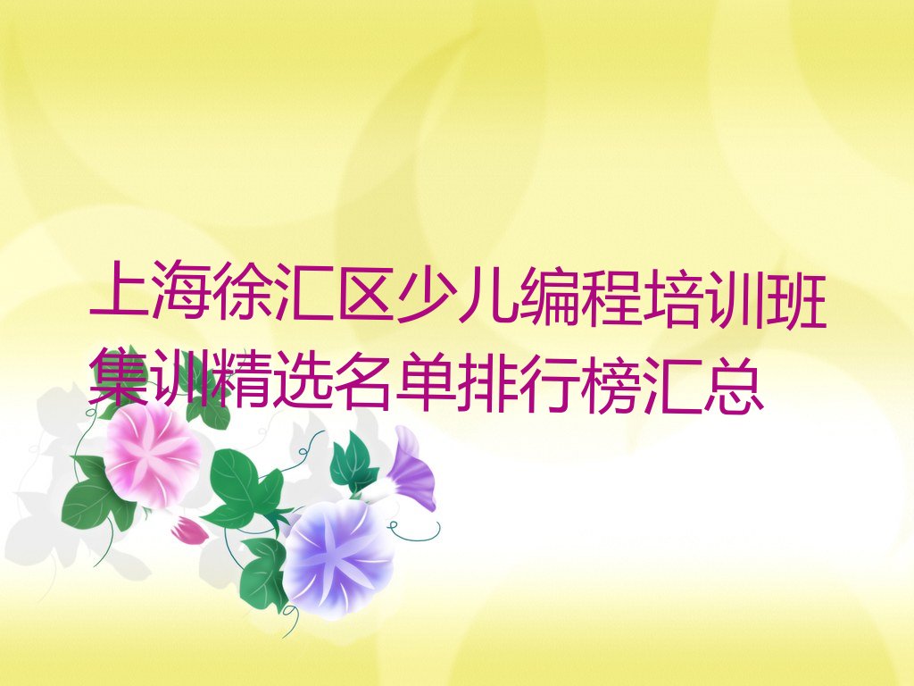 上海少儿编程培训班
