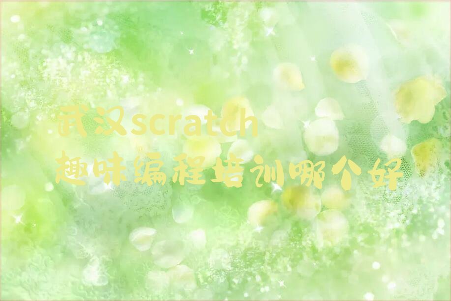 武汉汉阳区四新街道少儿编程培训学校