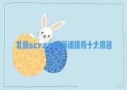 北京scratch培训机构十大排名