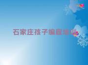 石家庄桥西区专业孩子编程培训学校哪家好一点
