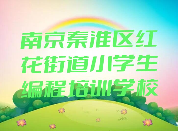南京秦淮区红花街道小学生编程培训学校