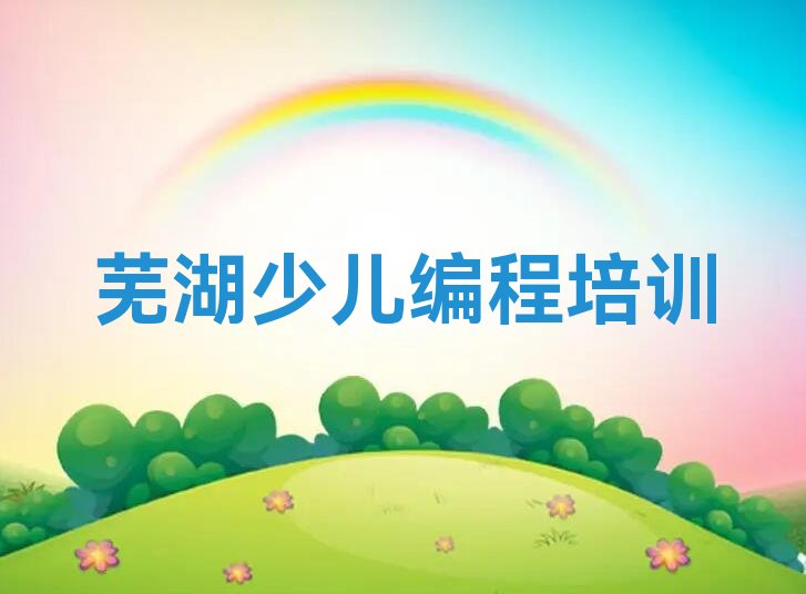 芜湖镜湖区赭麓街道少儿编程培训学校