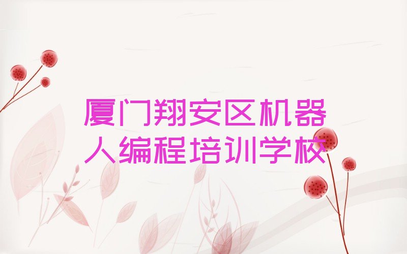 厦门翔安区机器人编程培训学校