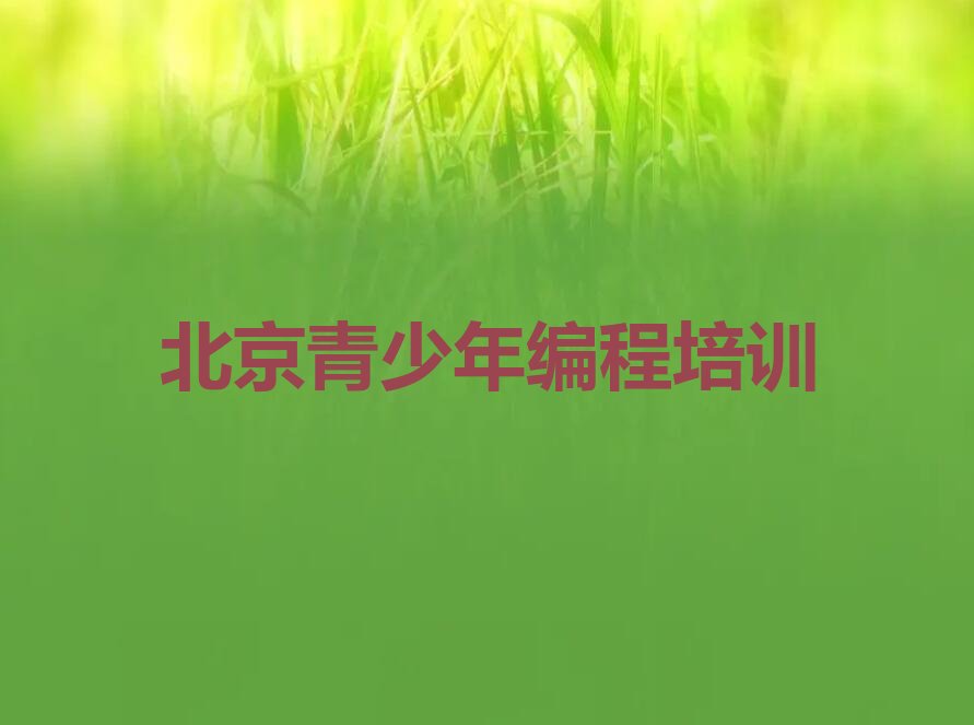 北京少儿编程培训学校